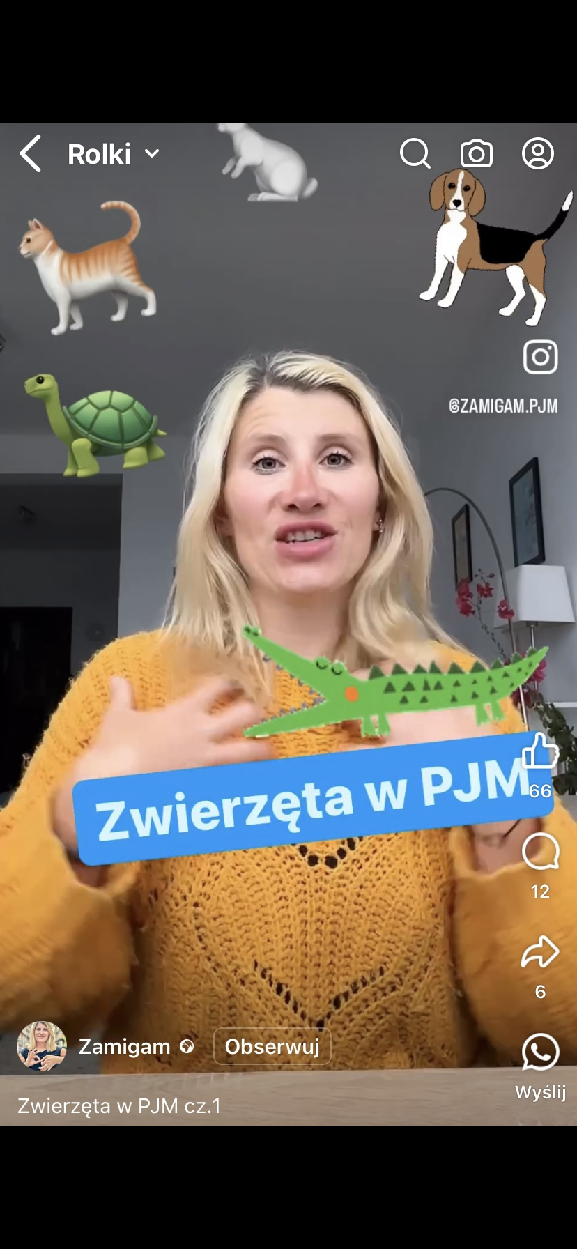 Zwierzęta w PJM